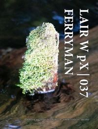 Cover image for LAIR W pX 037 Ferryman