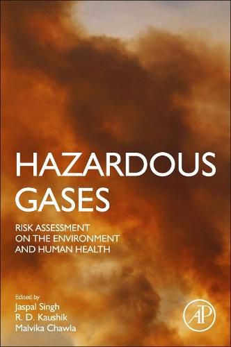 Cover image for Hazardous Gases: Risk Assessment on the Environment and Human Health