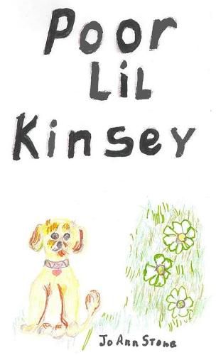 Cover image for Poor Lil Kinsey