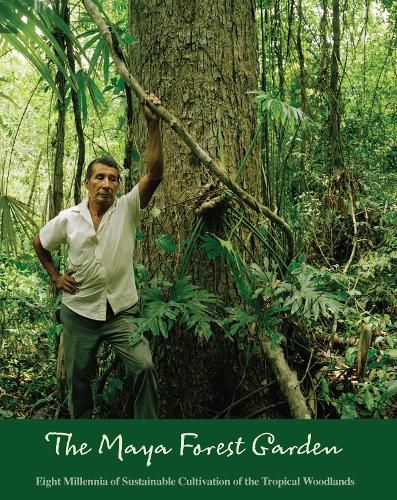 Cover image for The Maya Forest Garden: Eight Millennia of Sustainable Cultivation of the Tropical Woodlands