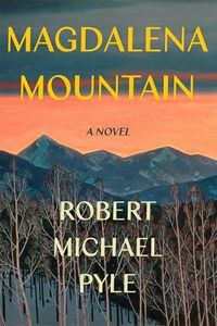 Cover image for Magdalena Mountain: A Novel