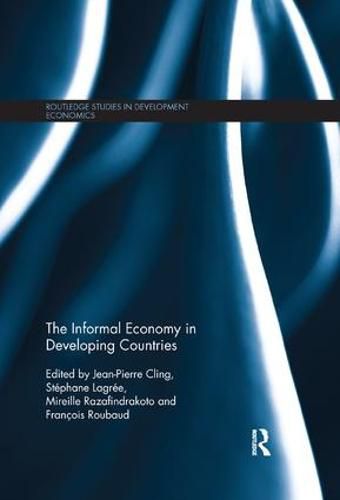 Cover image for The Informal Economy in Developing Countries