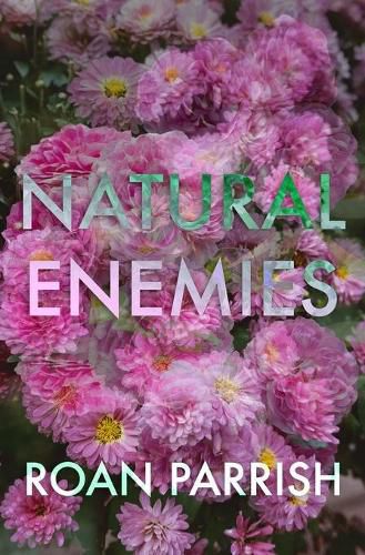 Cover image for Natural Enemies
