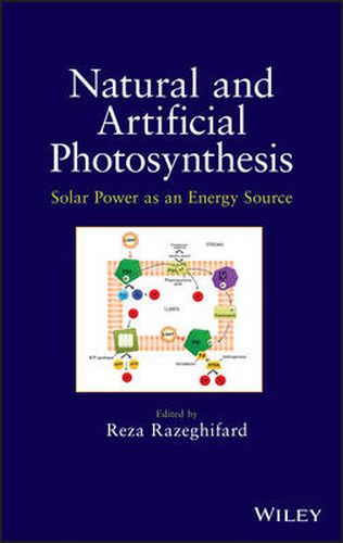 Cover image for Natural and Artificial Photosynthesis: Solar Power as an Energy Source