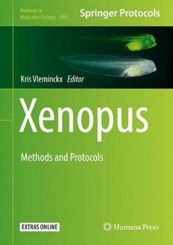 Cover image for Xenopus: Methods and Protocols