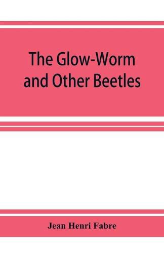 The Glow-Worm and Other Beetles