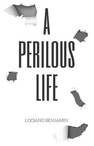 Cover image for A Perilous Life