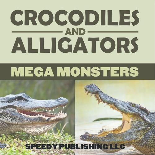 Cover image for Crocodiles And Alligators Mega Monsters