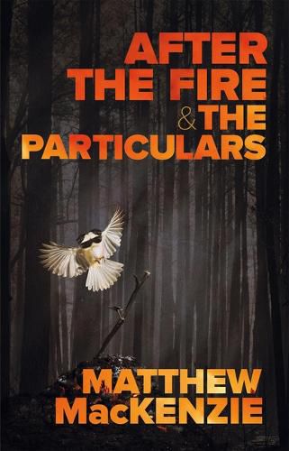 Cover image for After the Fire & the Particulars