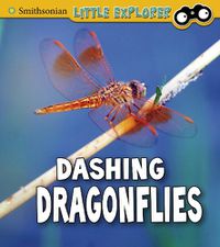 Cover image for Dashing Dragonflies