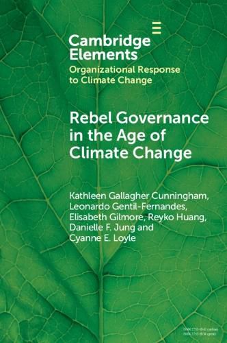 Cover image for Rebel Governance in the Age of Climate Change