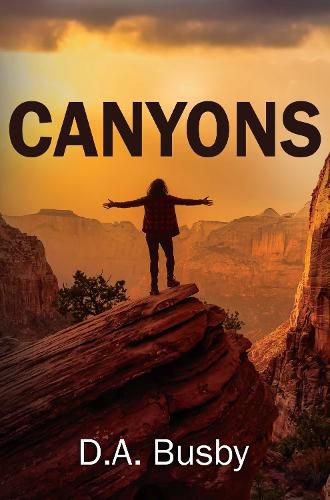 Cover image for CANYONS