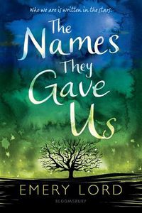 Cover image for The Names They Gave Us