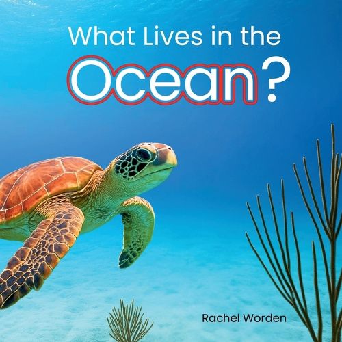 Cover image for What Lives in the Ocean