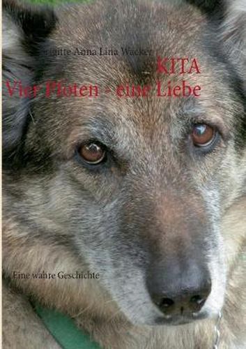 Cover image for Kita Vier Pfoten - eine Liebe: Eine wahre Geschichte