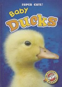 Cover image for Baby Ducks