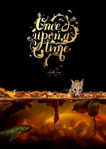 Cover image for Once Upon a Time