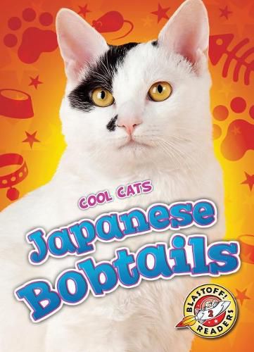 Japanese Bobtails