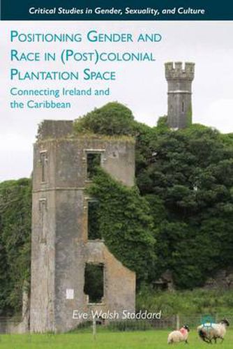 Cover image for Positioning Gender and Race in (Post)colonial Plantation Space: Connecting Ireland and the Caribbean