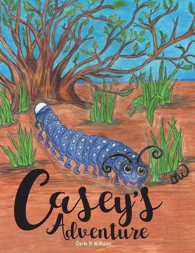 Cover image for Casey's Adventure