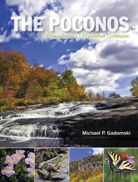 Cover image for Poconos