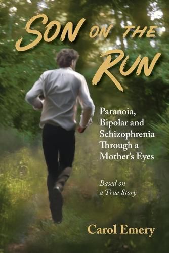 Cover image for Son on the Run