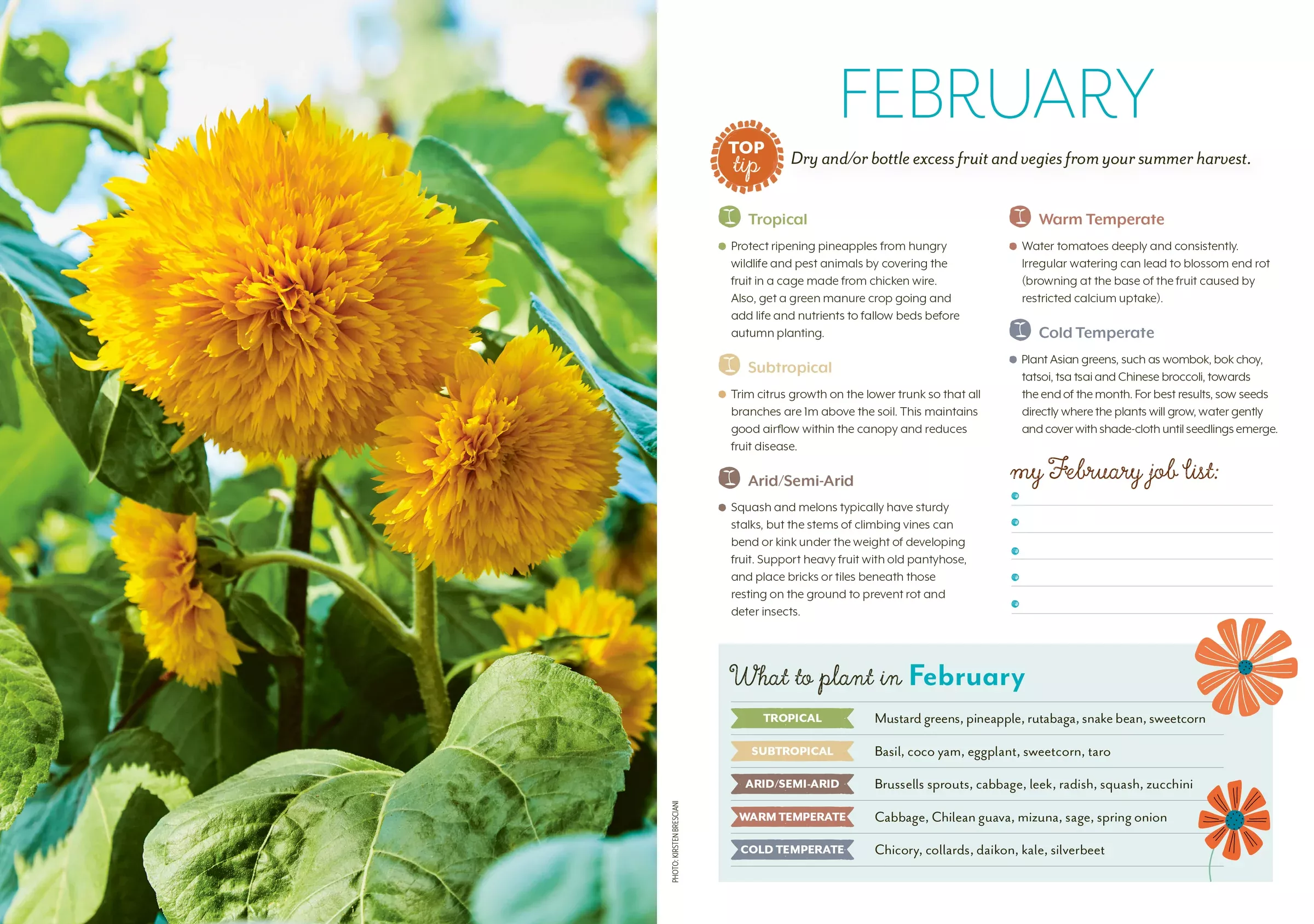 ABC Organic Gardener 2026 Diary