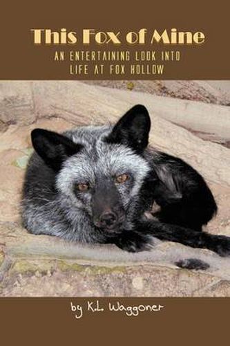 Cover image for This Fox of Mine: An Entertaining Look into Life at Fox Hollow