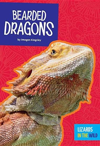 Cover image for Bearded Dragons