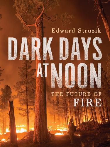 Cover image for Dark Days at Noon: The Future of Fire