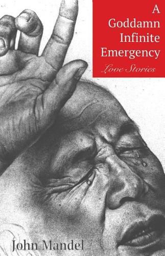 Cover image for A Goddamn Infinite Emergency: Love Stories