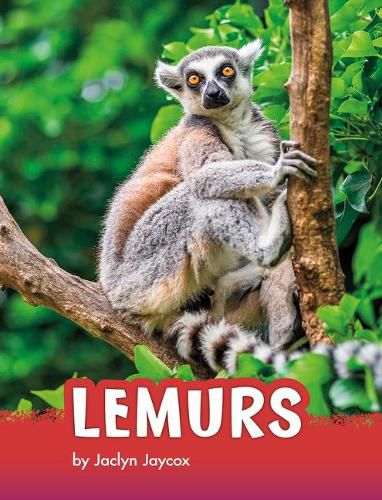 Cover image for Lemurs