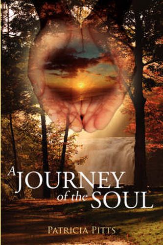 Cover image for A Journey of the Soul