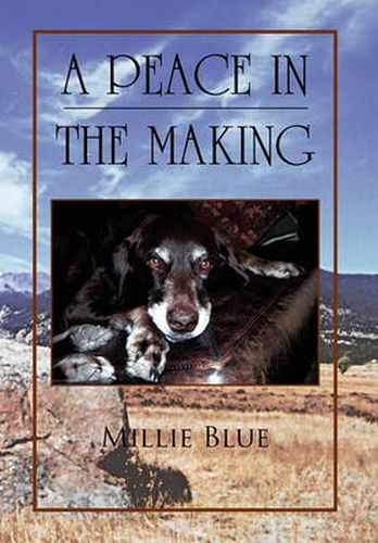 Cover image for A Peace in the Making
