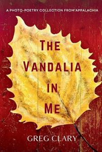 Cover image for The Vandalia In Me