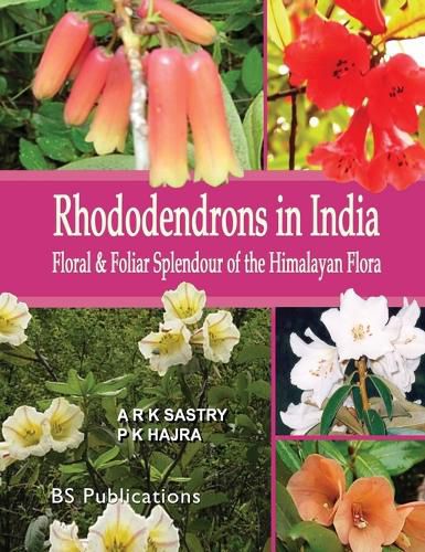 Cover image for Rhododendrons in India: Floral & Foliar Splendour of the Himalayan Flora