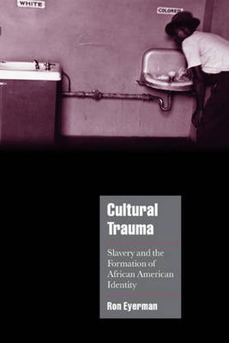 Cover image for Cultural Trauma: Slavery and the Formation of African American Identity