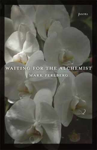 Cover image for Waiting for the Alchemist: Poems