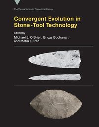 Cover image for Convergent Evolution in Stone-Tool Technology
