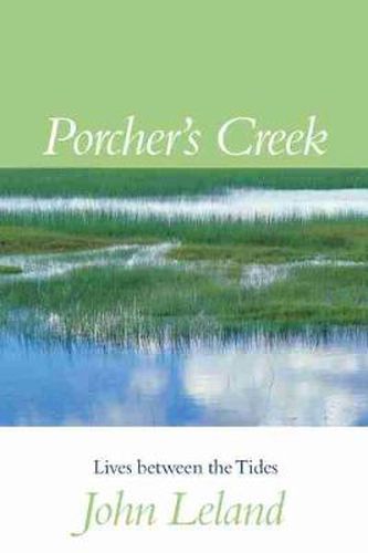 Cover image for Porcher's Creek: Lives Between the Tides