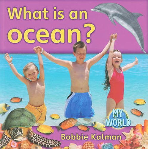 Cover image for What is an ocean?