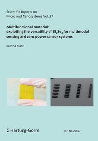 Cover image for Multifunctional materials