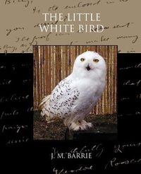 Cover image for The Little White Bird