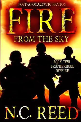 Cover image for Fire From the Sky