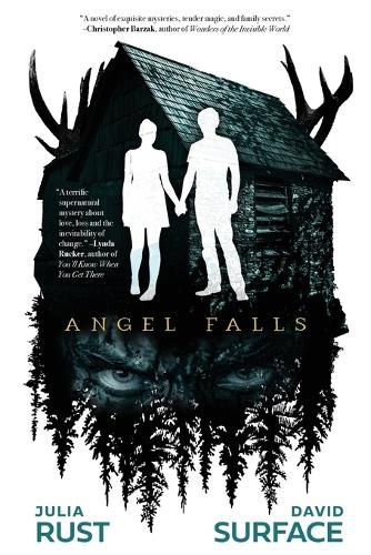 Cover image for Angel Falls