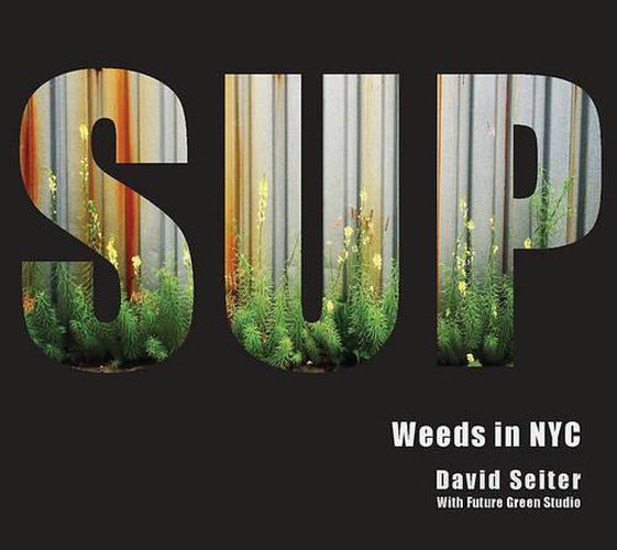 Cover image for Spontaneous Urban Plants: Weeds in NYC