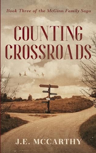 Cover image for Counting Crossroads