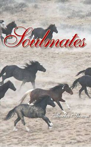 Cover image for Soulmates