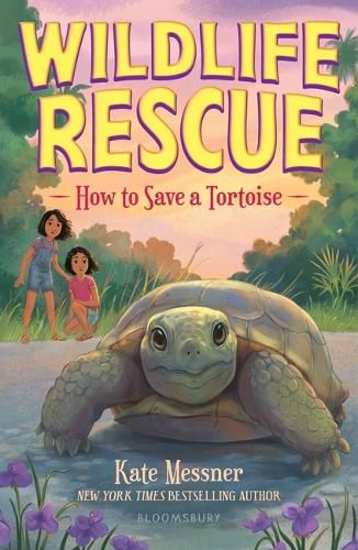 Cover image for How to Save a Tortoise