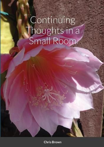 Cover image for Continuing Thoughts in a Small Room
